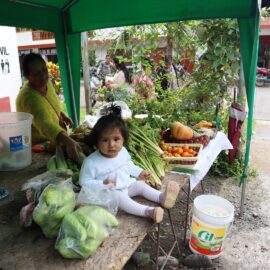 IMG_2426 (Large)