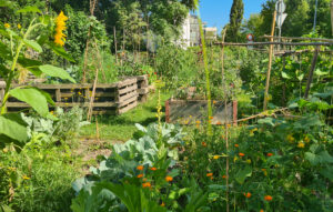 Gartenkultur (c) Weltweitwandern Wirkt!? 